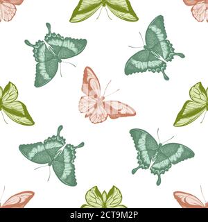 Seamless pattern with hand drawn pastel wallace's golden birdwing, emerald swallowtail, swallowtail butterfly Stock Vector