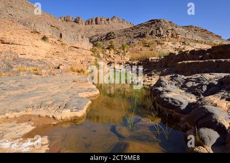 Algeria, Tassili N'Ajjer National Park, Iherir, Water in a guelta at Idaran Canyon Stock Photo