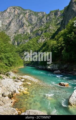 Montenegro, Crna Gora, Durmitor National Park, Tara river Stock Photo
