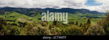 New Zealand, Pukaha Mount Bruce National Wildlife Centre Stock Photo