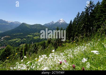 Germany, Bavaria, Berchtesgaden Alps, near by Ramsau, View to Watzmann and Hochkalter Stock Photo
