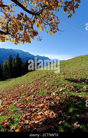 Germany, Bavaria, Garmisch-Partenkirchen, Werdenfelser Land, view from Elmau Alp Stock Photo