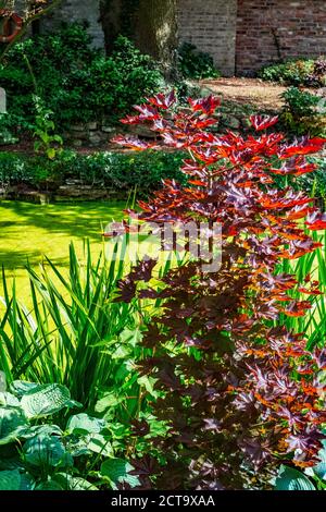 Salt marsh hall gardens Stock Photo