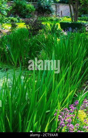 Salt marsh hall gardens Stock Photo