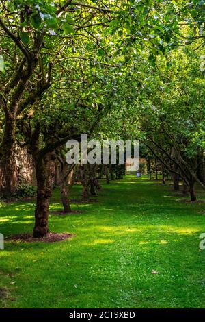 Salt marsh hall gardens Stock Photo