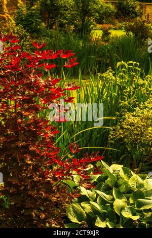 Salt marsh hall gardens Stock Photo