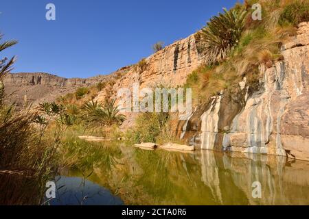 Algeria, Tassili N'Ajjer National Park, Iherir, Water in a guelta at Idaran Canyon Stock Photo