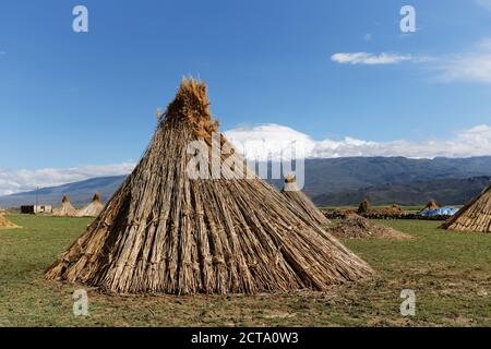 Turkey, Eastern Anatolia, Agri Province, Mount Ararat, Reed Stock Photo