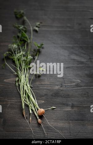 Fresh baby carrots with stems and leaves on wooden board Stock Photo