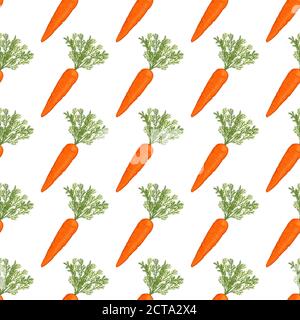 seamless pattern with carrots isol Stock Vector