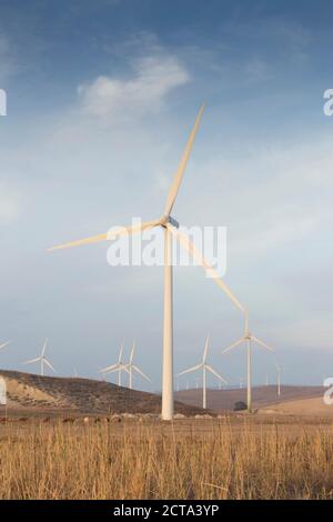 Spain, Andalusia, Cadiz, wind turbines standing on a field Stock Photo