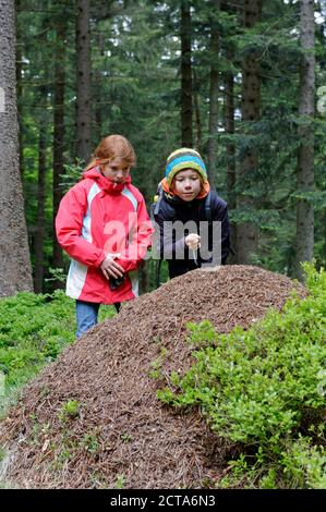 Germany, Bavaria, Lower Bavaria, Bavarian Forest, Deggendorf, Dreitannenriegel near Grafling, two children watching anthill Stock Photo