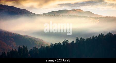 mountain landscape in autumn. fog glowing in morning light. dramatic sky with clouds at sunrise Stock Photo