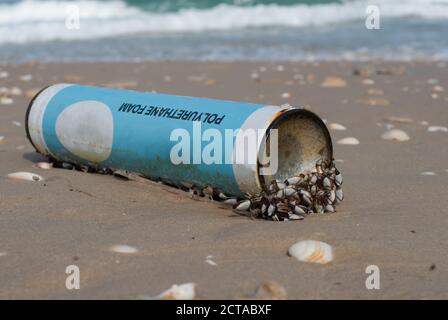 Polyurethane Foam Spray lying on the sand beach of the seashore. Seashells growing on litter washed up on the shore from the sea. Concept - pollution Stock Photo