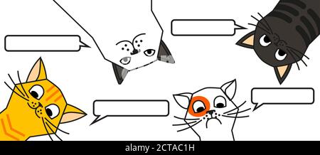 Cats tell you wake up. Cat meme Stock Vector