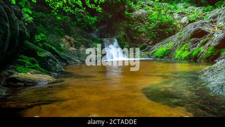 Selective focus green moss on rock surface at small waterfall in jungle. Waterfall in tropical forest with green plant and sunlight. Waterfall is flow Stock Photo