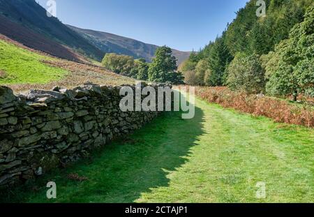 Path along the Afon Eiddew towards Pistyll Rhyd-y-mainciau waterfall at Lake Vyrnwy, Powys, Wales Stock Photo