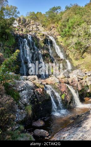 Pistyll Rhyd-y-mainciau waterfall at Lake Vyrnwy, Powys, Wales Stock Photo