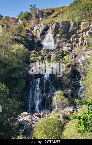 Pistyll Rhyd-y-mainciau waterfall at Lake Vyrnwy, Powys, Wales Stock Photo