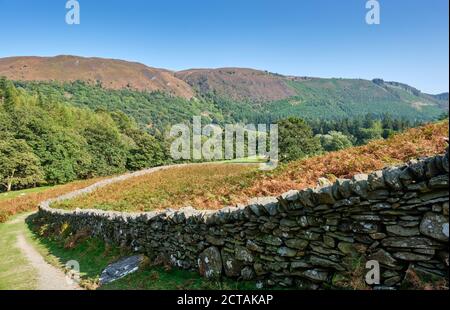 The path following the Afon Eiddew towards Lake Vyrnwy, Powys, Wales Stock Photo