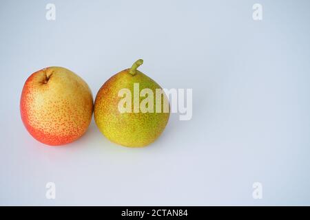 Fruit. Two pears close-up on a white background. Stock Photo