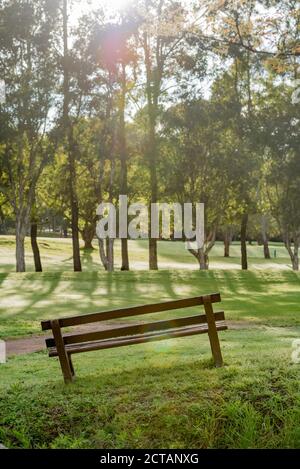 A park bench or seat sits at an awkward angle on the side of a hill on a golf course as morning sun shines through nearby trees Stock Photo