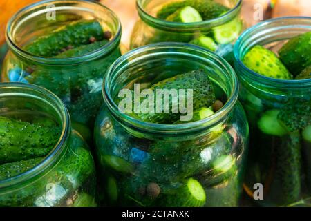 jars of cucumbers close-up, canning gherkins for the winter. Stock Photo