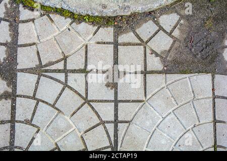 Decorative tiles on the pavement with green grass growing through the cracks Stock Photo