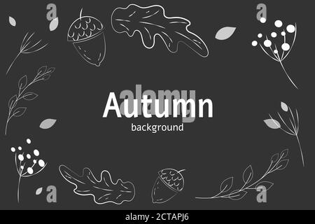 Autumn outline leaves on chalk board background. Hand drawn graphic images of oak leaf, acorn, berries, branches. Fall seasonal decororative Stock Vector