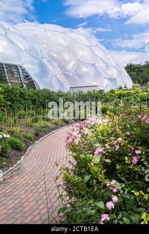The Mediterranean biome at the Eden Project near St Austell in Cornwall. Stock Photo