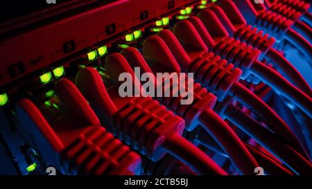 Macro Shot: Ethernet Data Cables Connected to Router Ports with Flashing Lights. Information Technology with RJ45 Internet Connectors Plugged into Mod Stock Photo