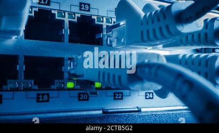 Macro Shot: Ethernet Cables Connected to Router Ports with Blinking Lights. Telecommunications: RJ45 Internet Connectors Plugged into Modem LAN Switch Stock Photo