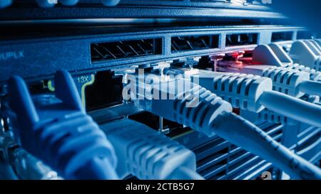 Close-up Macro Shot: Ethernet Cables Connected to Router Ports. Telecommunications: RJ45 Device Connectors Plugged into Modem Hubs. Stock Photo