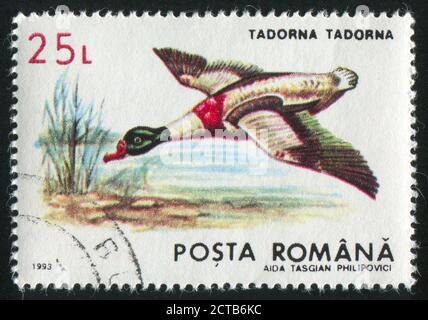 ROMANIA - CIRCA 1993: stamp printed by Romania, show duck, circa 1993. Stock Photo