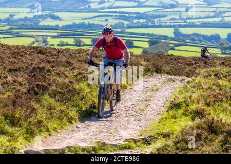 Mountain bikers approaching the summit of Dunkery Beacon – the highest point in Somerset  and Exmoor National Park(1,705ft), Somerset, England, UK Stock Photo