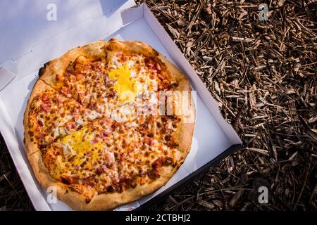 Pizza in a cardboard box. Pic nic outdoors Stock Photo