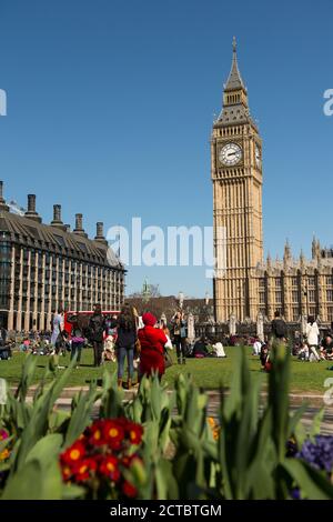 Elizabeth Tower, housing Big Ben, the Palace of Westminster, London, England. Stock Photo