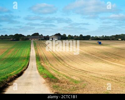 A track across sunlit farmland towards Plompton Grange with Plompton Hall in the distance near Knaresborough North Yorkshire England Stock Photo