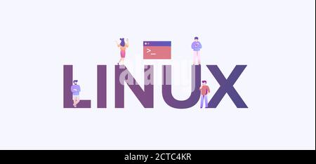 Linux operating system. Platform software with administration technology internet development. Stock Vector