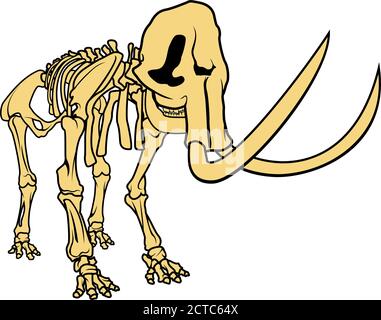 Vector prehistoric skeleton of mammoth on white background isolated illustration Stock Vector