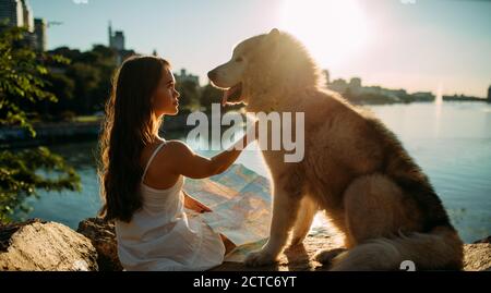 Young woman with innate disorder dwarfism sits on rocks with Malamute dog against background of river and city at sunset. Stock Photo