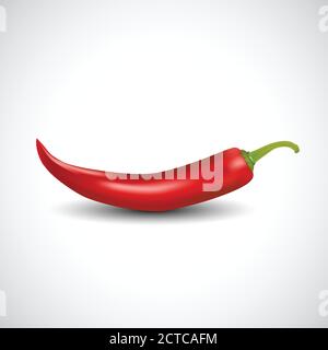 fresh red chilly isolated white background. vector illustration Stock Vector