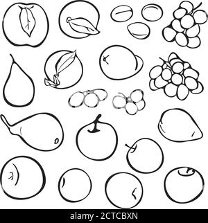 Vector hand drawn fruits icons set. Decorative flat style collection hand drawn farm product for restaurant menu, market label. Peach, apple, grape, p Stock Vector