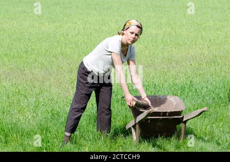 Woman with a Wheelbarrow on the Green Field with Grass. Stock Photo