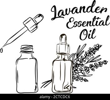 Lavander essential oil bottle  and bunch of flowers hand drawn vector illustration. Isolated drawing for Aromatherapy treatment, alternative medicine, Stock Vector