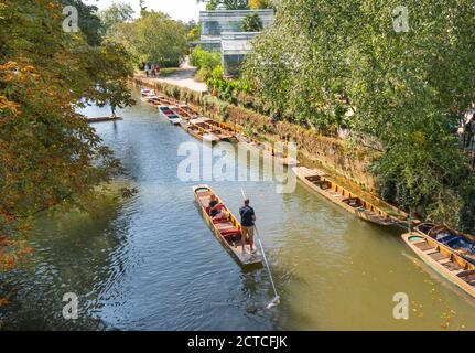 OXFORD CITY ENGLAND PUNTS AND PUNTING ON THE RIVER CHERWELL NEAR TO THE BRIDGE AND BOTANIC GARDENS Stock Photo