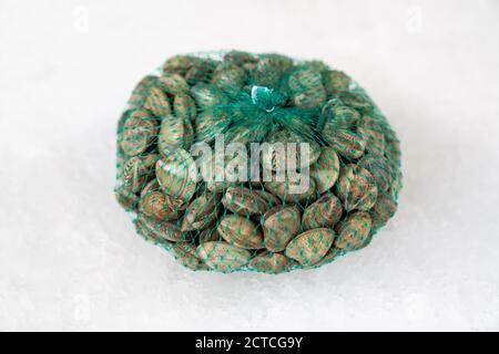 fresh raw seafood clams in the bag on ice,close up. Stock Photo