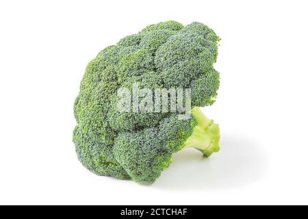 Broccoli cabbage close up isolated on white background Stock Photo