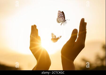 The girl frees the butterfly from  moment Concept of freedom Stock Photo