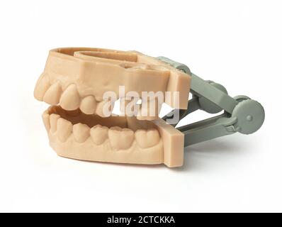 Teeth printed by 3d printer. Upper and lower jaw of adult. Used to create aligners, night guards, braces, crowns, dentures and surgical guides,  Isola Stock Photo
